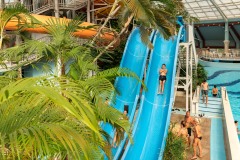 by Porcio Norbert - TRILITE STUDIO